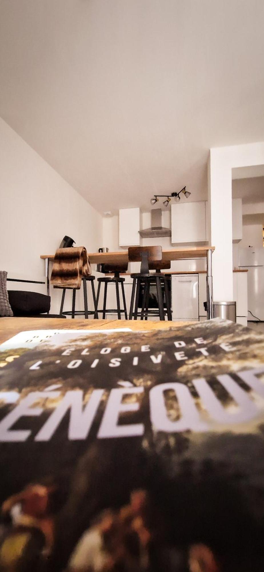 L'Indus 3 Etoiles Wifi, Netflix, Disney, Coeur De Bastide 鲁埃格自由城 外观 照片